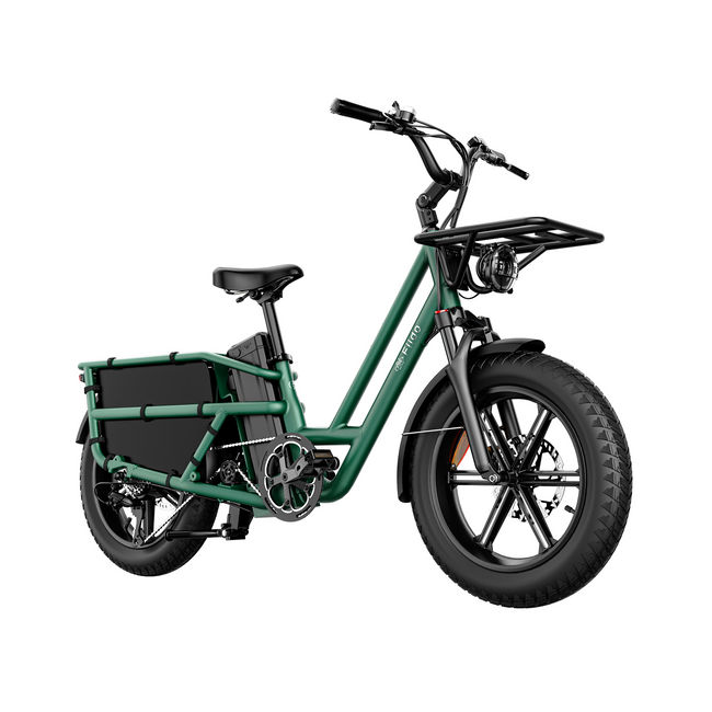 Fiido T2 Longtail Cargo E-bike